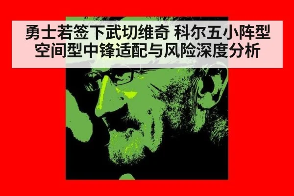 勇士若签下武切维奇 科尔五小阵型空间型中锋适配与风险深度分析