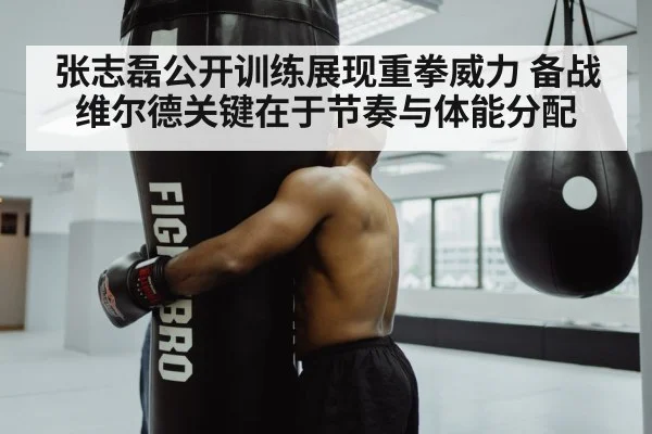 张志磊公开训练展现重拳威力 备战维尔德关键在于节奏与体能分配
